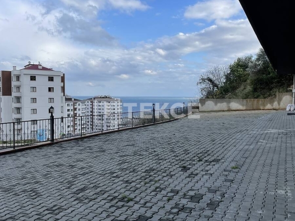 Tzx 00191 Sea View Shop Near A Main Road In Yildizli Trabzon Te