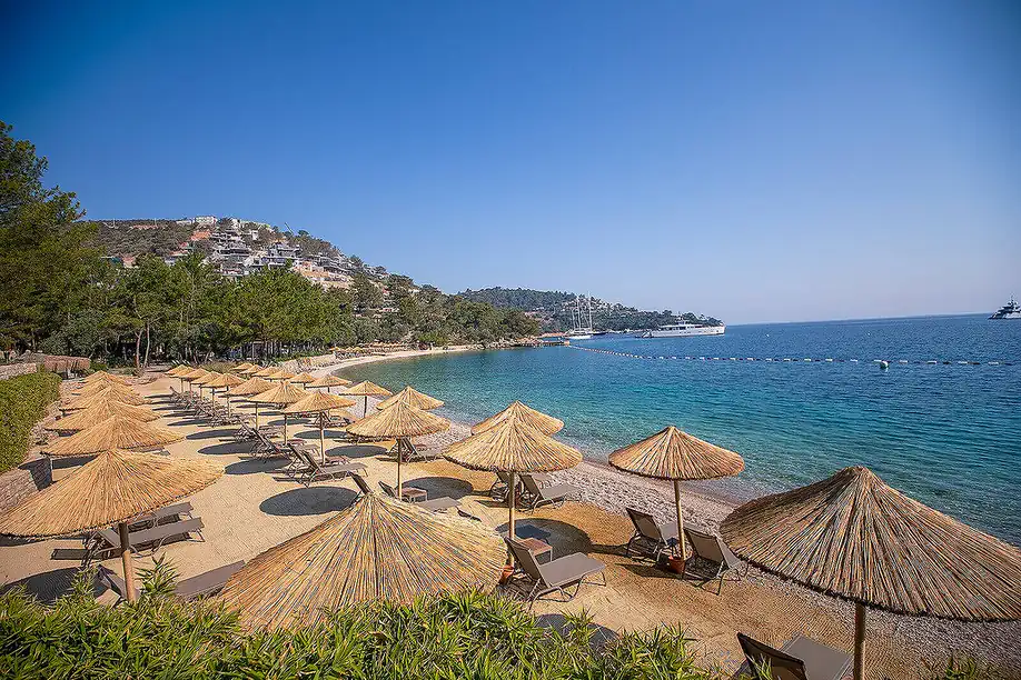 bjv 00147 sea view apartments within a forestry atmosphere in bodrum te.webp bjv 00147 sea view apartments within a forestry atmosphere in bodrum te.webp
