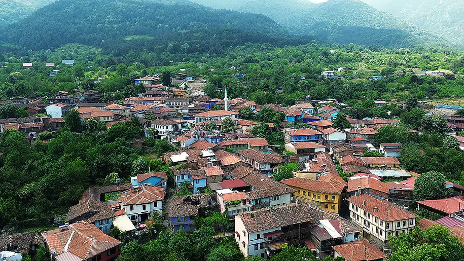 yei 00321 ottoman mansion for sale in bursa te 16.webp 16